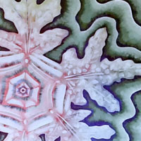 ripple out art portfolio